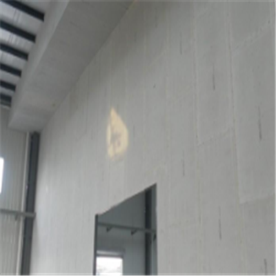 邙山宁波ALC板|EPS加气板隔墙与混凝土整浇联接的实验研讨